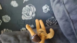 динощавр и сирено головый