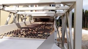 Просеиватель вибрационный для щепы (1)