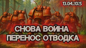 Рыжие лесные муравьи воюют и переносят обратно отводок