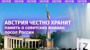 Австрийские власти ответственно подходят к сохранению советских воинских захоронений — посол РФ