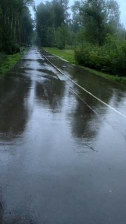 Дождь в парке