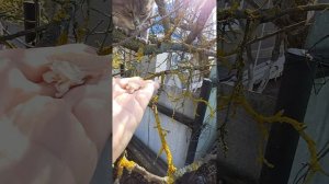 Забавные животные// утро 13 апреля