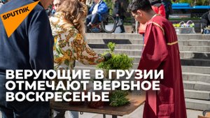 Вербное воскресенье: история и традиции праздника