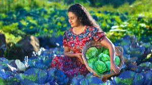 Cabbages! 🥬 for chicken kottu🍗 potato cheese rolls, pineapple salad & more!