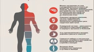 Почему все болезни от нервов
