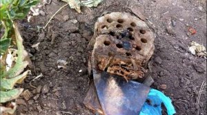 Простой способ удалить пень на участке