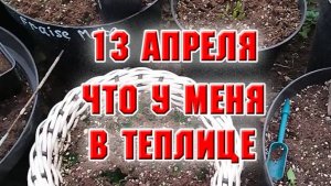 13 апреля.  Снег начал таять.  Что в теплице?