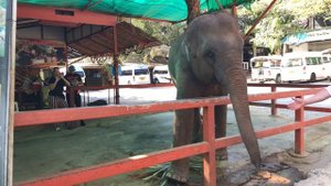 Красивый ТАйланд