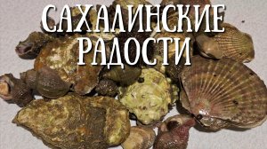 Сахалинские радости - морепродукты по отливу , гребешок ежи трубач и ропаны