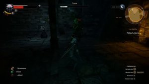 Прохождение Ведьмак 3 - На ощупь