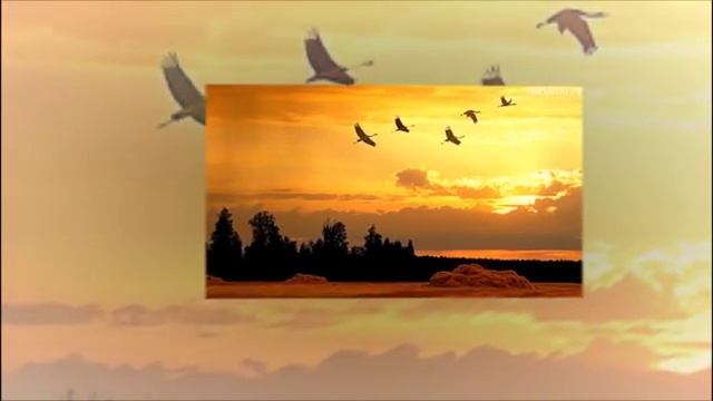 Ностальгия. Авторская песня. Исп. О. Денисова. смотреть онлайн