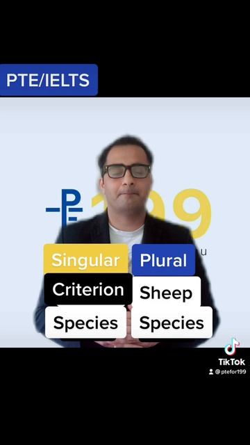 Singular vs Plural Nouns | PTEfor199