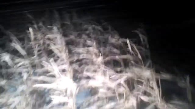 уборка кукурузы январь 2018 смотреть онлайн