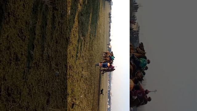 31 декабря 2022 г. смотреть онлайн