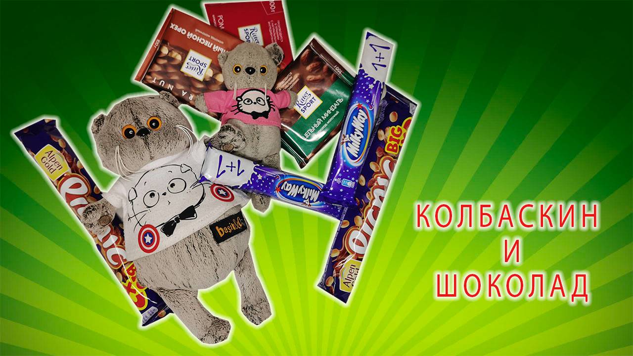 КОТИК БАСИК ХОТЕЛ СЪЕСТЬ ВСЕ ШОКОЛАДКИ / БАСИКИ БАСИКИ смотреть онлайн