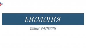 5 класс - Биология - Ткани растений
