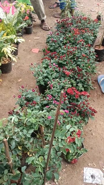 pallavaram Friday market part 2 смотреть онлайн