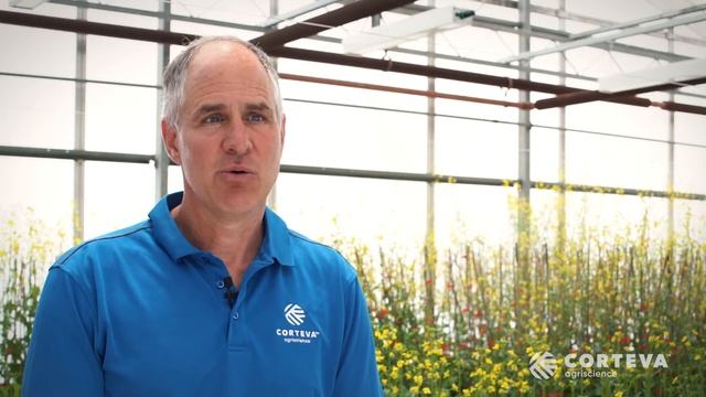 Q&A with our Research Scientist | Corteva Canada смотреть онлайн