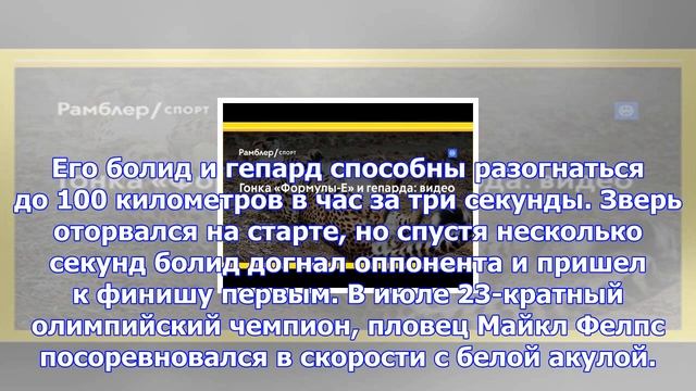 Гонка «формулы-е» и гепарда: видео