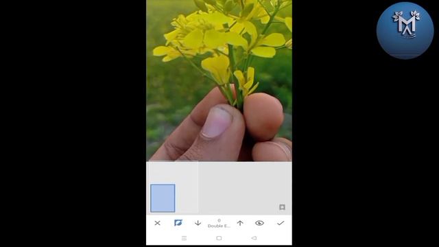 Photo Background Blur In One Click | Snapseed Background Blur | Bangla Tutorial |