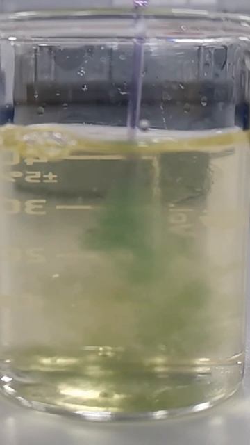 What are Indicators?  #chemistry #experiment #gcsescience #acid #alkali #scienceteacher #indicator