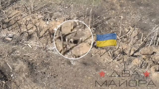 Операторы БПЛА 352 мсп при помощи сбросов с дронов производят разминирование дороги