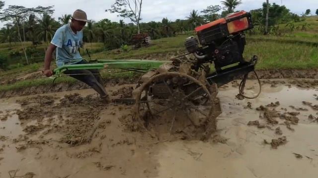 Agricultural Machinery The Dongfeng tractor plows the fields #0145