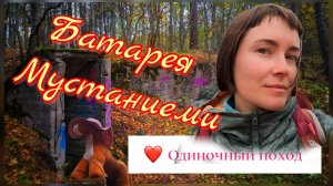 Одиночная прогулка к батарее Мустаниеми. Ленинградская область. Приозерский район. Октябрь 2024 года