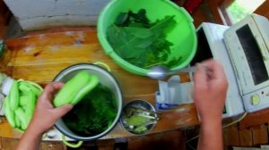 По рецепту бабушки.Малосольные огурцы по селигерски