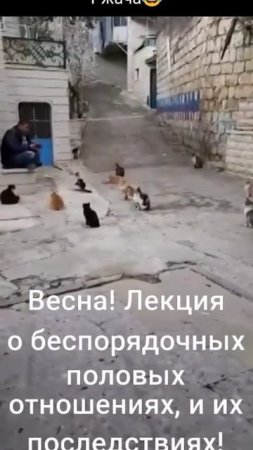 Лекция 😄