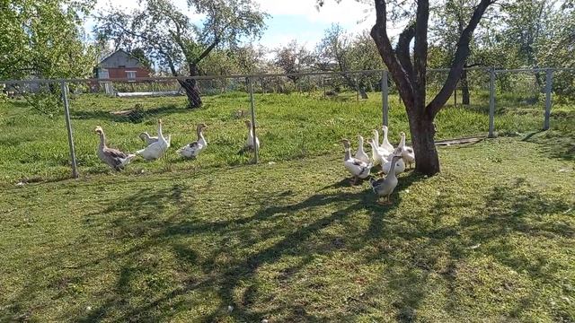 последний день отпуска 2022г. смотреть онлайн