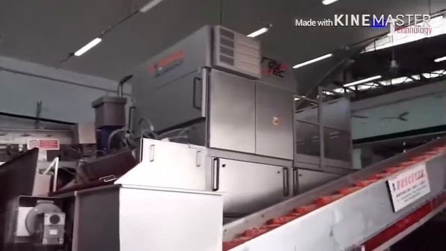 How Tomato Ketchup Is Made, Tomato Production And Processing Factory With Modern Technology, Wooo