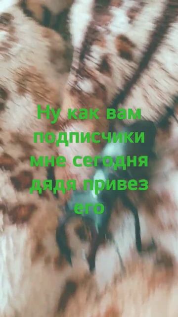 жук олень смотреть онлайн