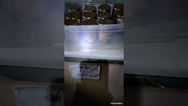 Делаем тушёнку из перепелок впервый раз.#автоклав #тушенка