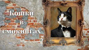 Кошки в смокингах