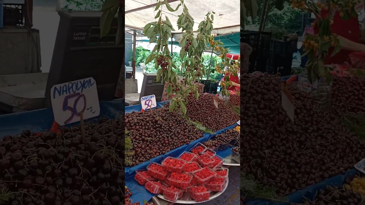 Турция или Тайланд? Аланья. Махмутлар.