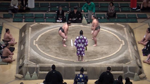 海龍-武政/2018.1.25(33)/kairyu-takemasa/day12 #sumo