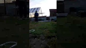 моя первая теплица ( 2 )