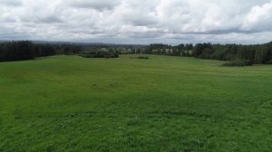 Fields of Athenry // Поля у Атенрай (Russian folk accordion).