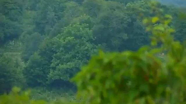 Осуруев Iумар-Iела - Шира илли смотреть онлайн