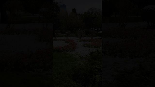 Ялта. Снег в апреле  2025