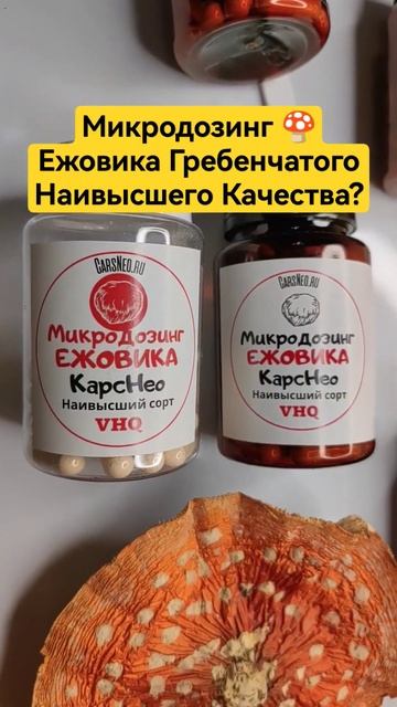 Микродозинг 🍄 Ежовика Гребенчатого Наивысшего Качества? #ежовик #ноотропы #биохакинг