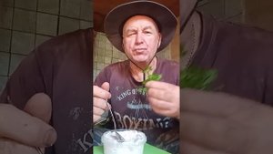 На обзор кальмар и снежный краб в чесночном соусе из магазина покупАлко,ем на даче с аппетитом
