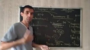 42 СЕРДЦЕ РЕГУЛЯЦИЯ АД