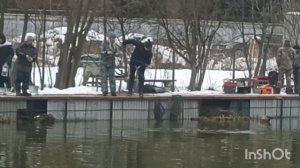 А мы всё ловим🦈