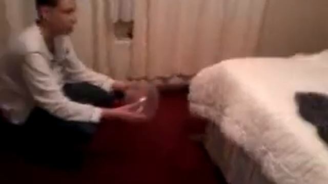 Anton vs gandon ;) смотреть онлайн