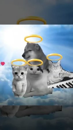 Вы помните😭😭😭😭😭😭😭