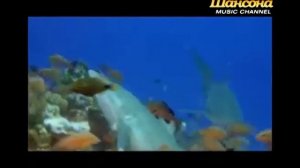 Сергей Наговицын - Прохор Митрич (Видеоклип)