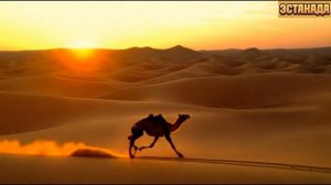 Эстакада.mp4