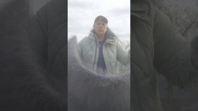 1000153005.mp4Пуховые платочки.т.80020931602 смотреть онлайн